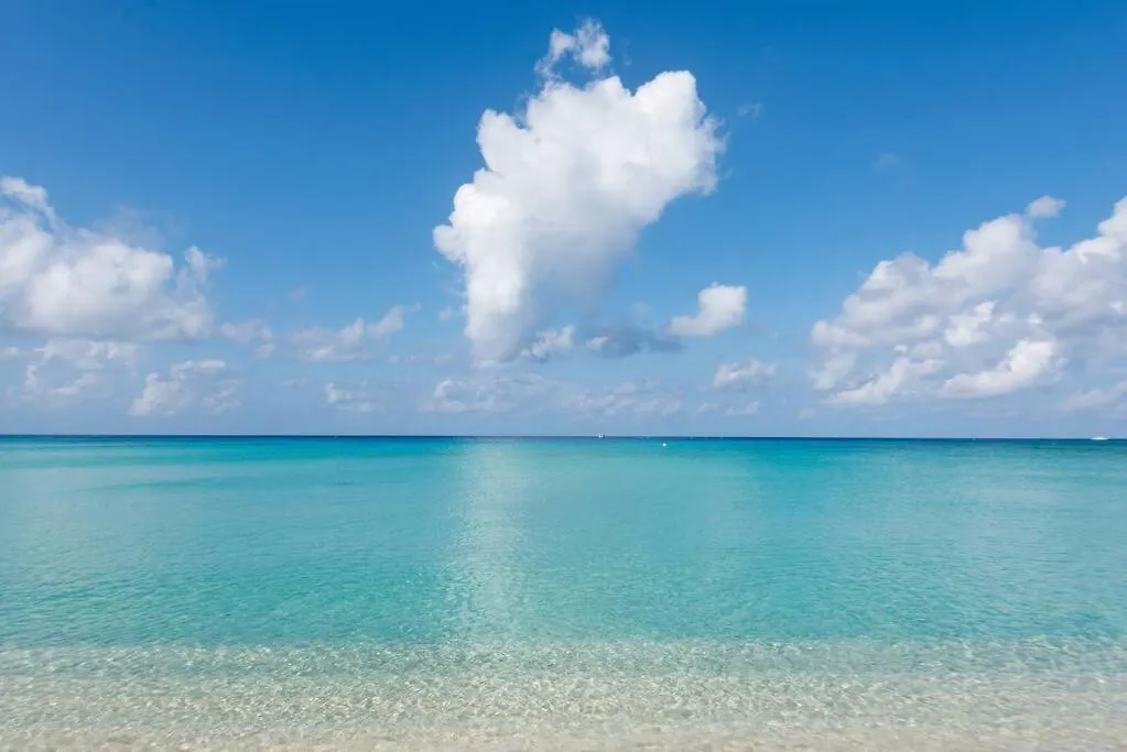 Luxury Ocean Front Seadreams 2 With 7 Mile Beach Views West Bay شقة