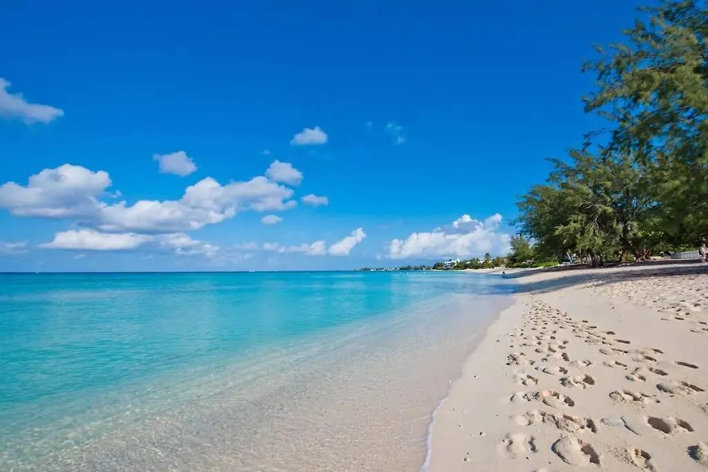 Luxury Ocean Front Seadreams 2 With 7 Mile Beach Views West Bay شقة